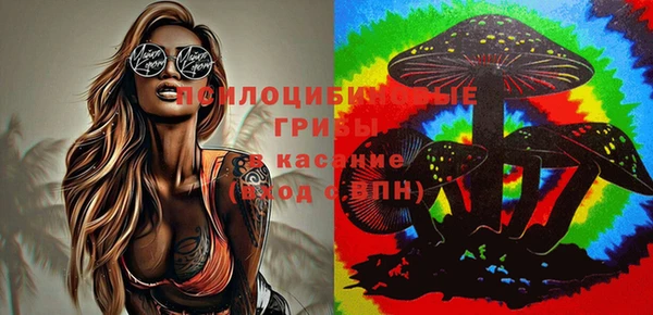 круглые Лагань