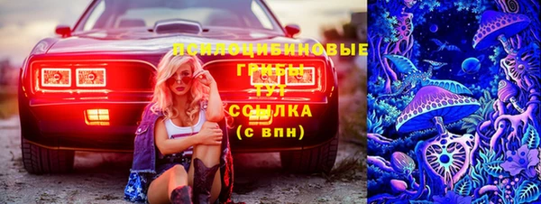 стафф Приозерск