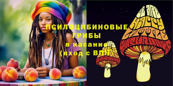 дмт Кукмор