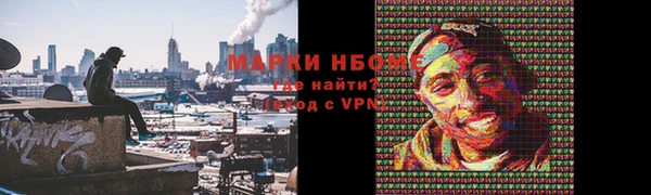 стафф Протвино