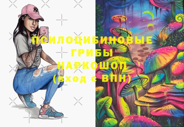 круглые Лагань