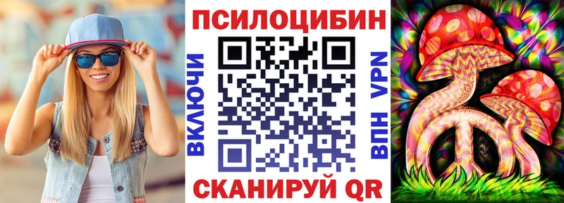 закладки  Пролетарск  Псилоцибиновые грибы мицелий 