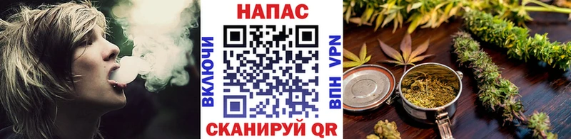 где купить наркоту даркнет наркотические препараты Шишки марихуана SATIVA & INDICA Пролетарск